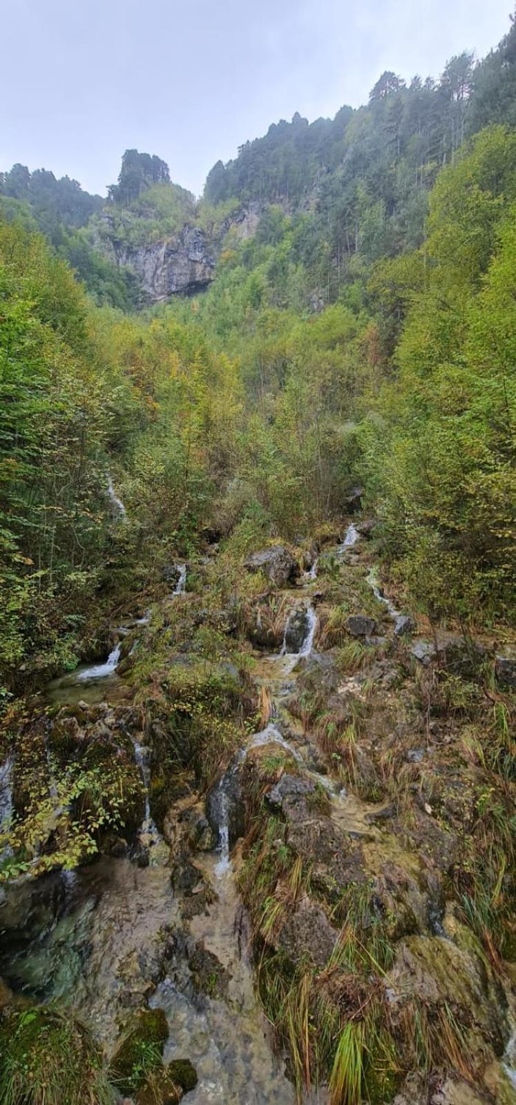Αθηνα A7 Lägenhet Kateríni Exteriör bild