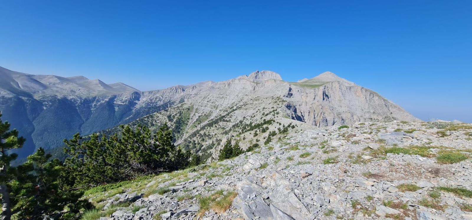 Αθηνα A7 Lägenhet Kateríni Exteriör bild
